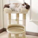 ねこ キャット タワー 高い安定性 運動不足 キャットタワー       ミニ 猫タワー 小型 低め 据え置き 省スペース 麻紐爪とぎ シンプル かわいい ボール型猫爪とぎ おもちゃ付き 大きい展望台 組み立て簡単 高さ68cm ブラウン - 画像 (4)