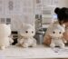 東莞でオリジナルキャラクターぬいぐるみを試作する開発現場